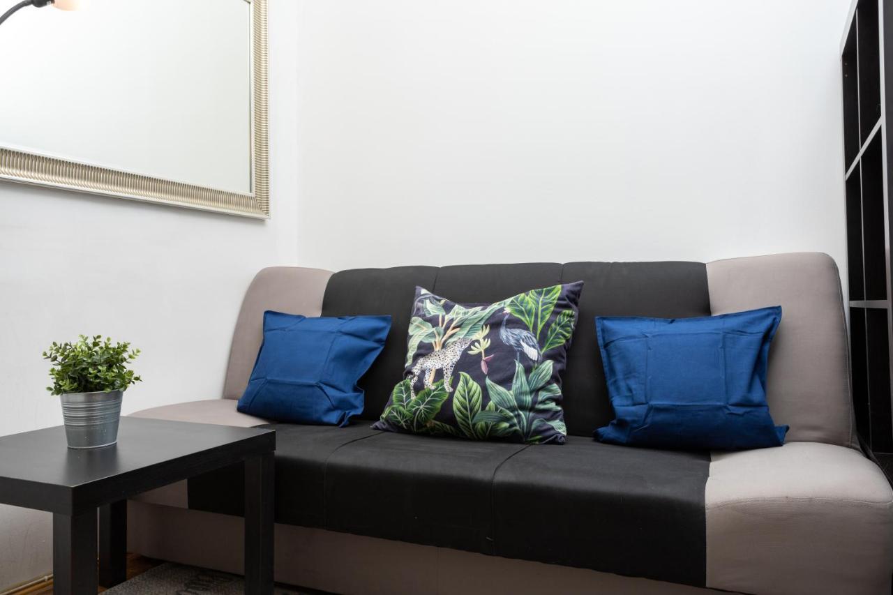 Blueberry Apartment At Buda Castle 布达佩斯 外观 照片