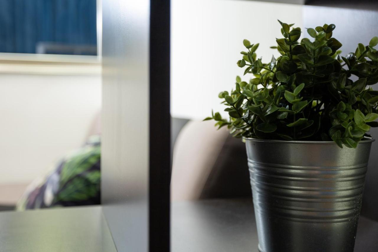 Blueberry Apartment At Buda Castle 布达佩斯 外观 照片